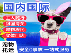 格尔木空运代理国际宠物托运 【国